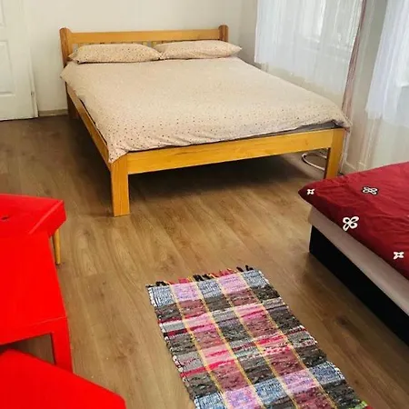 Doxie And Beds * Budapest