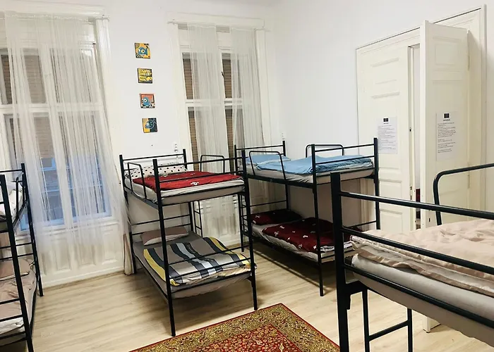 Doxie And Beds * Budapest