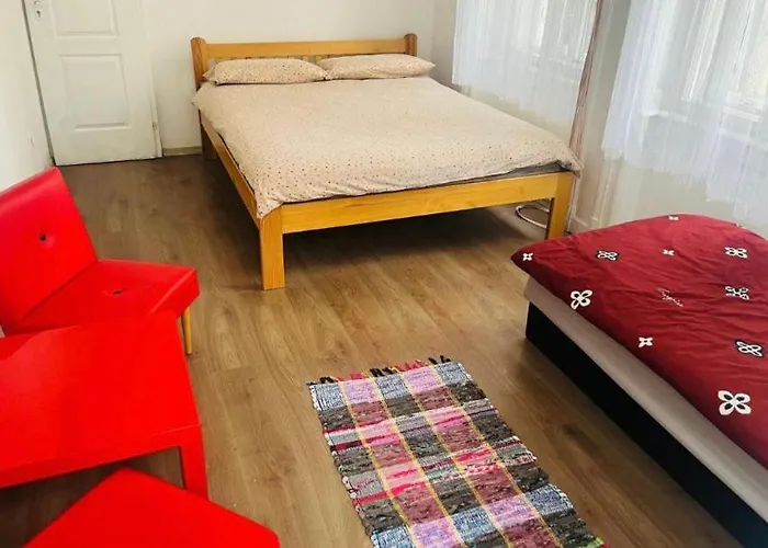 Doxie And Beds * Budapešť